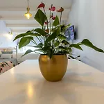 Appartamento Corfu Boutique